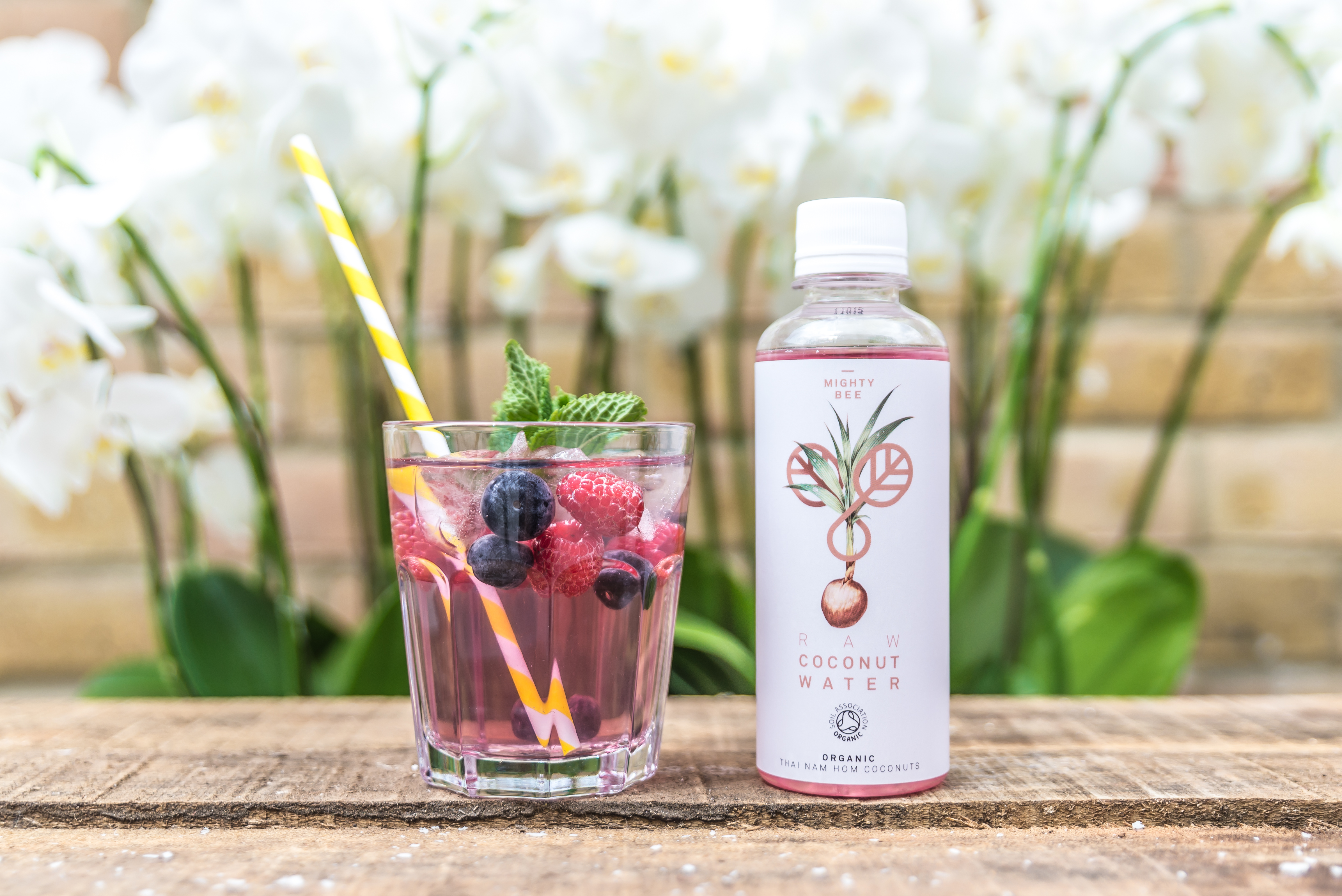 Coco-Loco About Mighty Bee