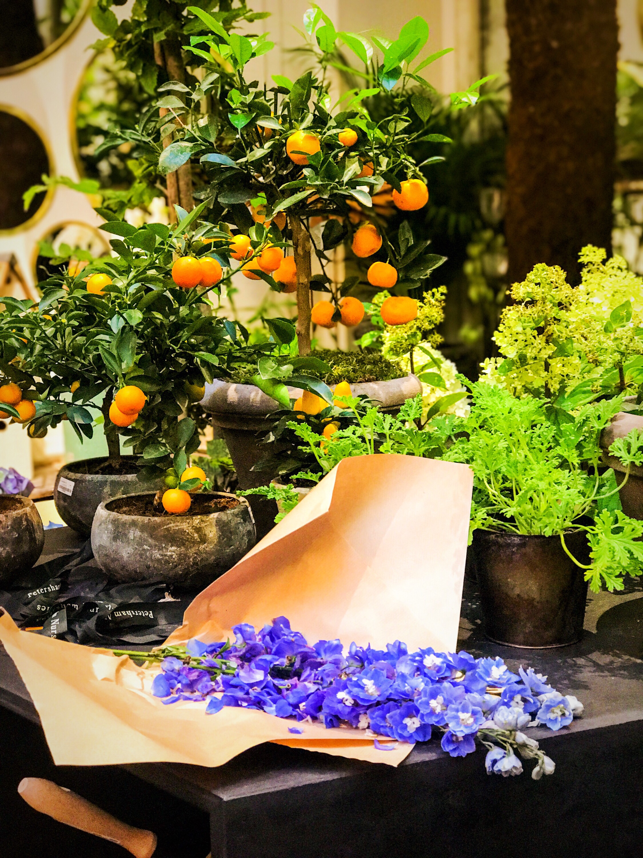 London Guides: Central Hideouts, Far From the Madding Crowd