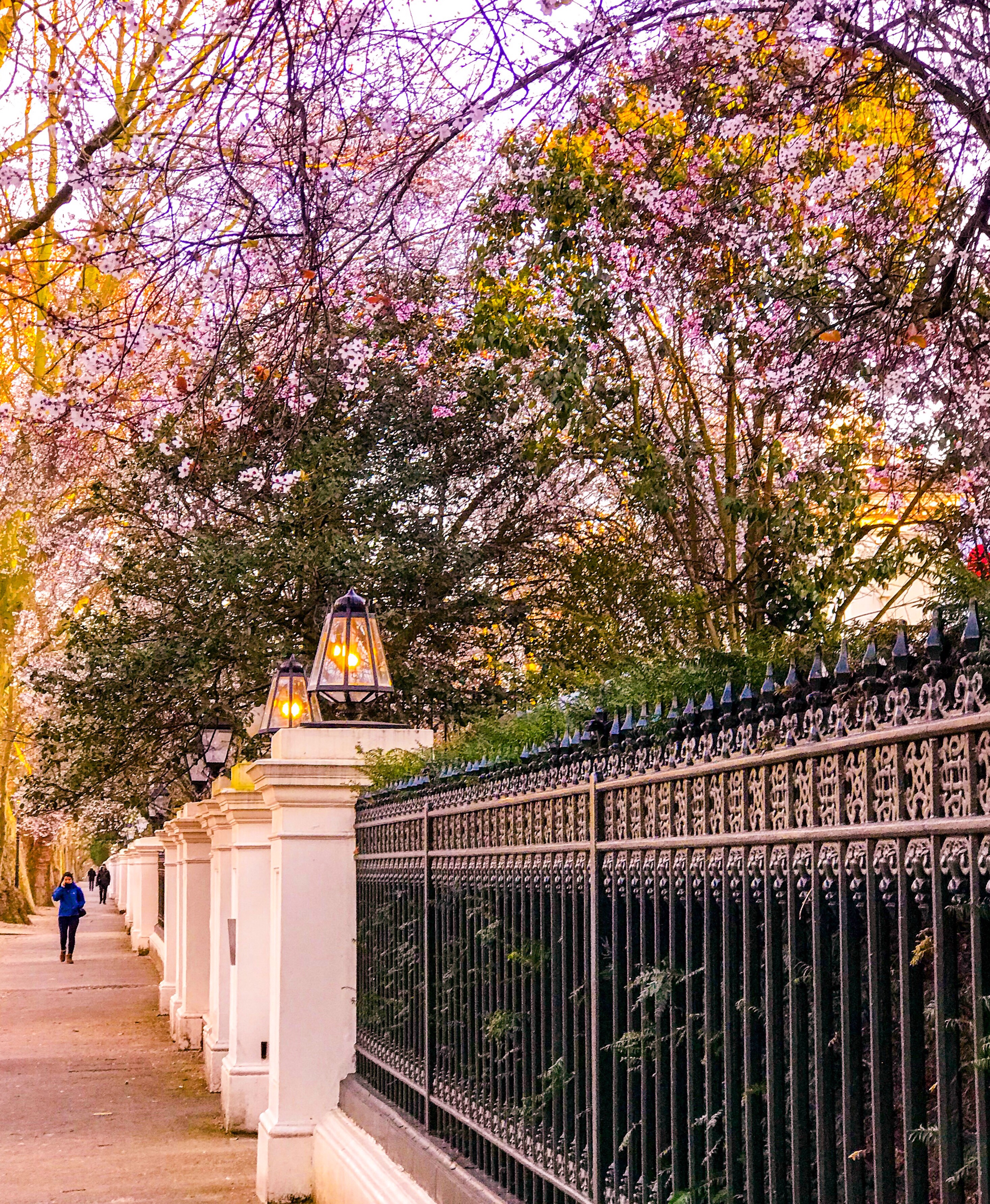 A Londoner’s Guide to Spring