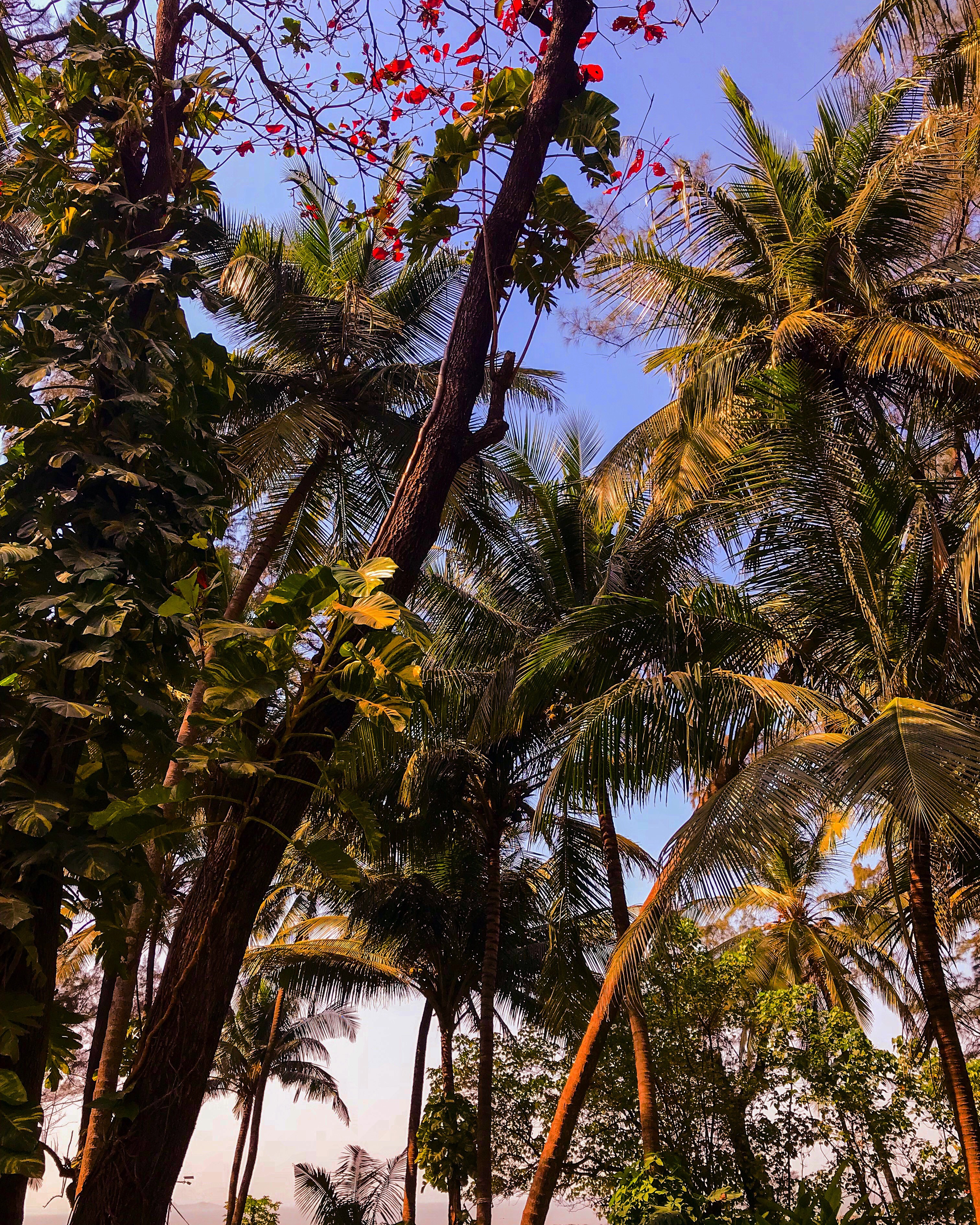 A Guide To Summer in Bombay