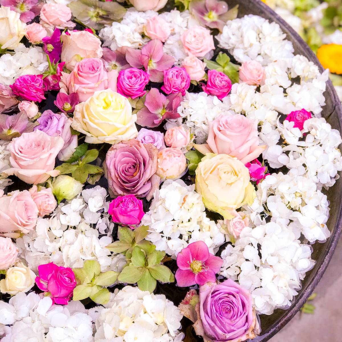 Meditating Through A Black Swan