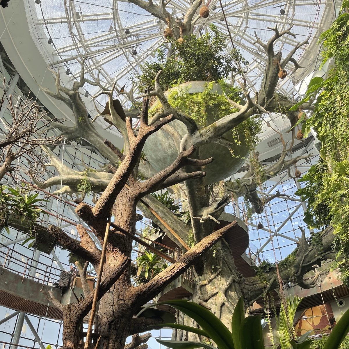 A Toddler’s Guide To Things To Do In Dubai