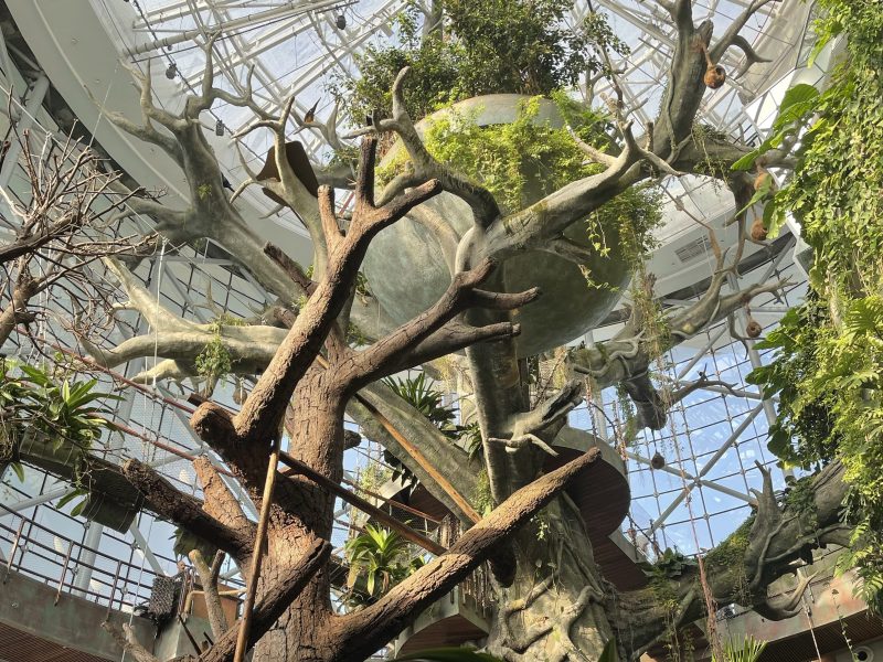 things to do with toddlers dubai