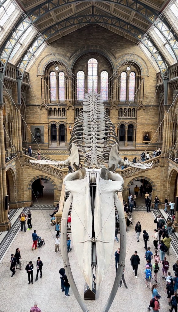 toddler things to do London