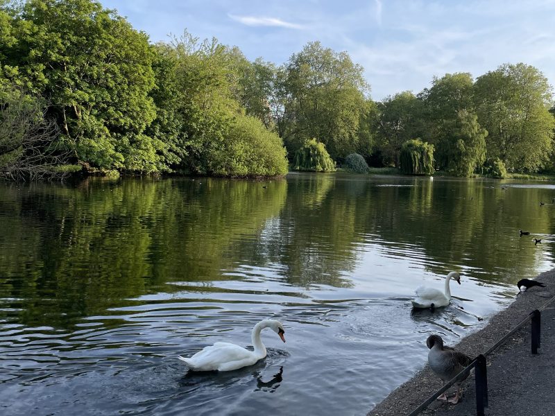 toddler guide things to do London summer