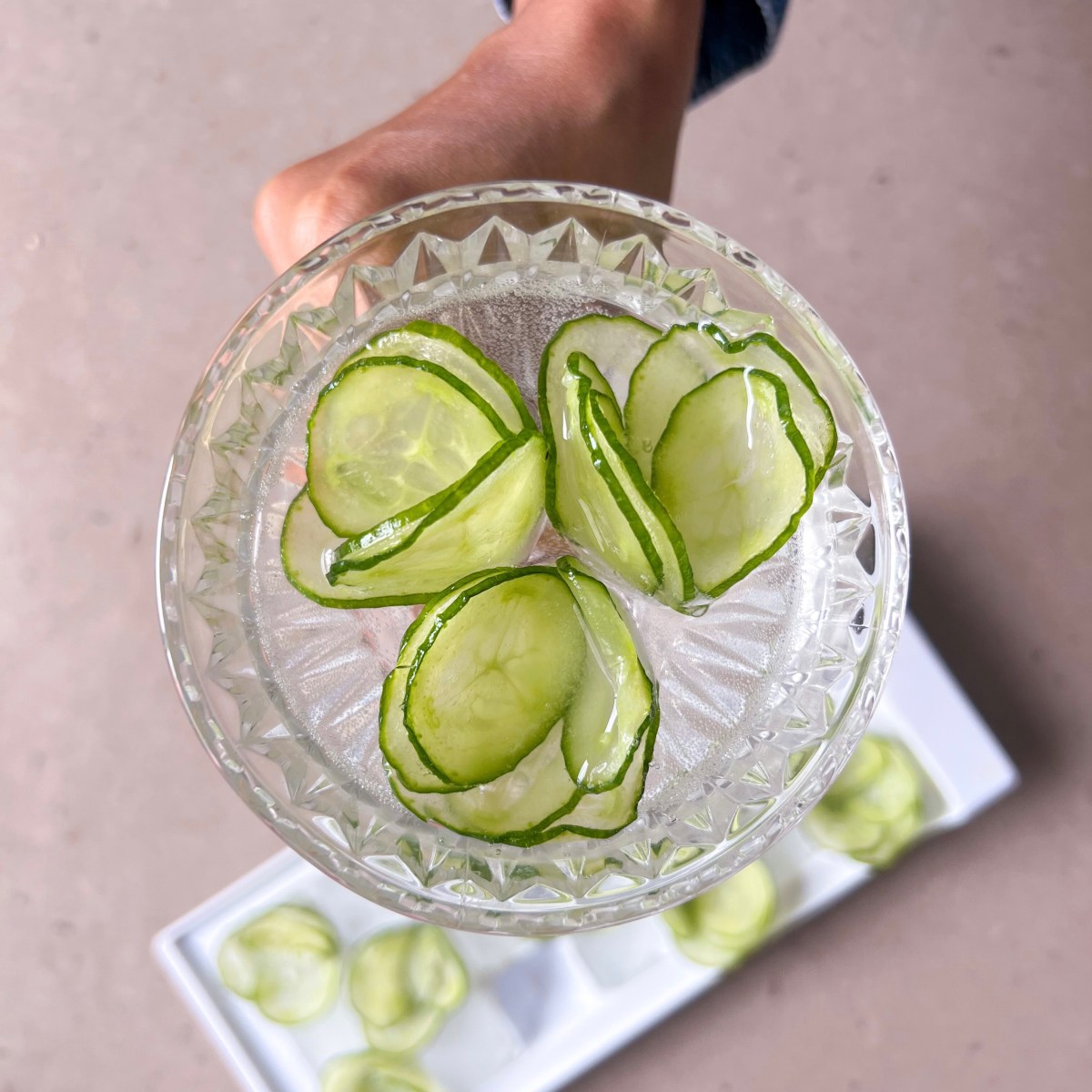 Home Hacks: How To Set Aesthetic Fruity & Floral Ice Cubes