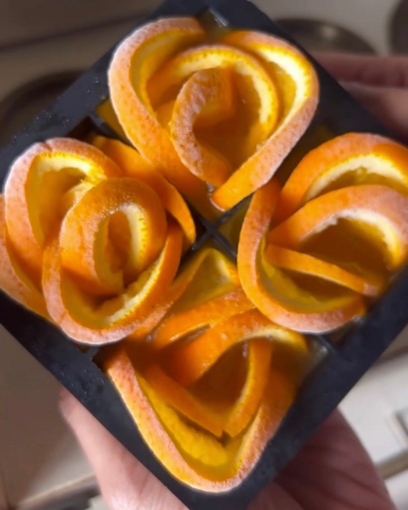 aesthetic orange rose ice cubes